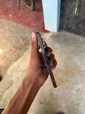 Apple iPhone 13 Pro (Used)