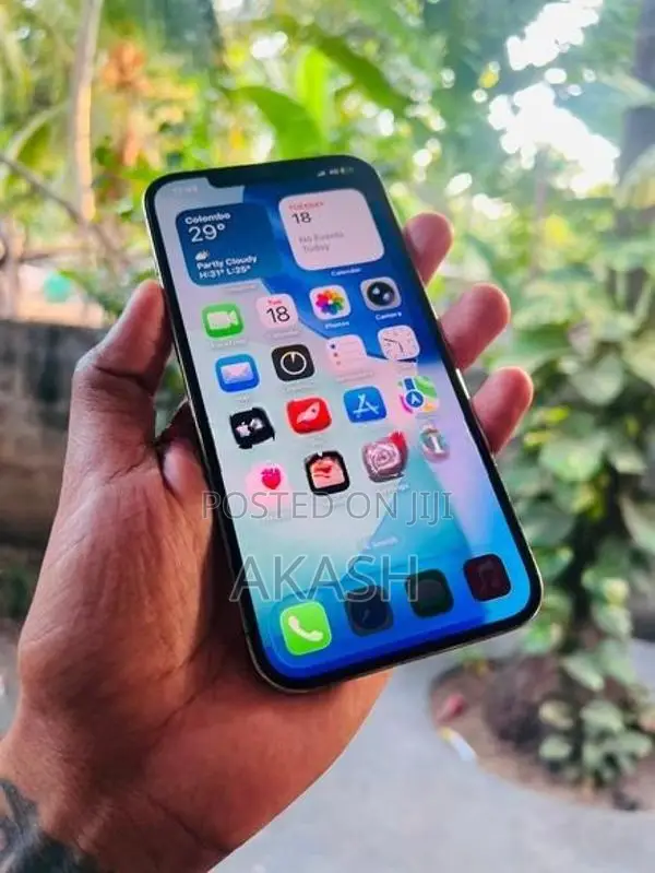 Apple iPhone 12 Pro Max 256GB (Used)
