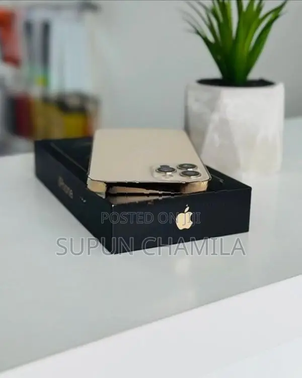 Apple iPhone 12 Pro 256GB (Used)