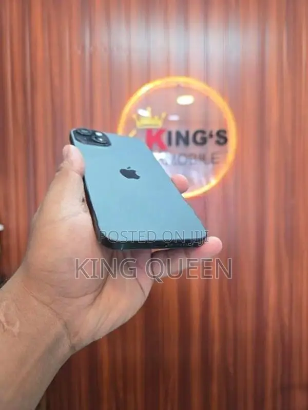 Apple iPhone 15 Plus 128GB (Used)