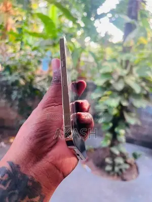 Apple iPhone 12 Pro Max 256GB (Used)