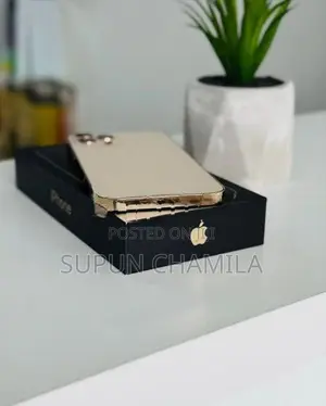 Apple iPhone 12 Pro 256GB (Used)