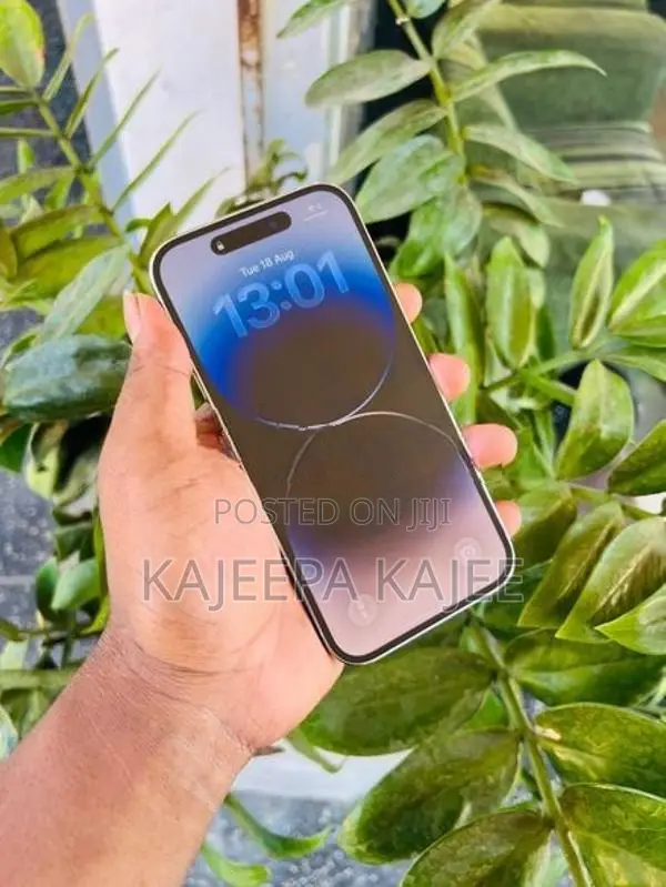 Apple iPhone 14 Pro (Used)