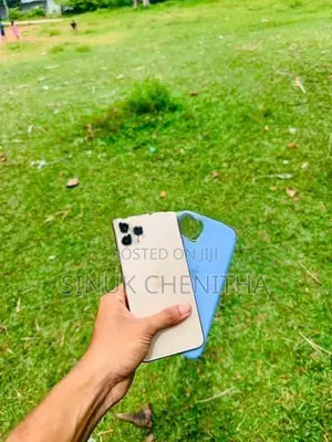 Apple iPhone 11 Pro Max (Used)