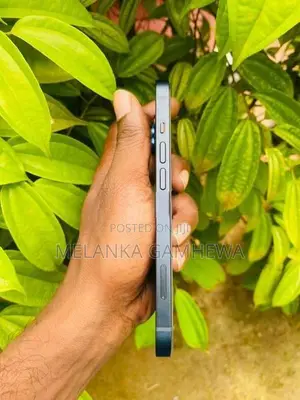 Apple iPhone 13 128GB (Used)