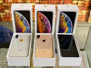 Apple iPhone XS 256GB (Used)