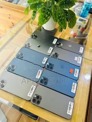 Apple iPhone 12 Pro 256GB (Used)