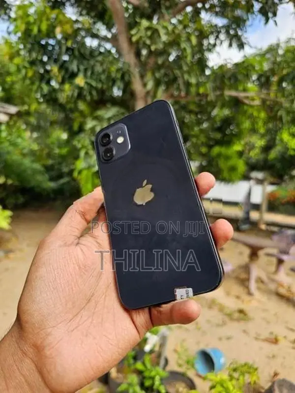 Apple iPhone 12 128GB (Used)