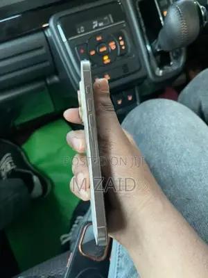 Apple iPhone 16 Pro Max (Used)
