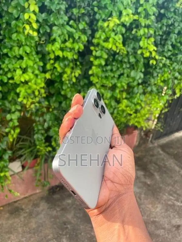 Apple iPhone 15 Pro Max (Used)