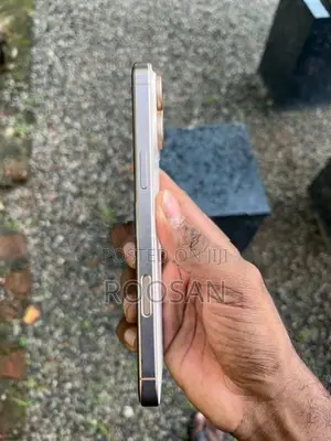 Apple iPhone 16 Pro Max 256 (Used)