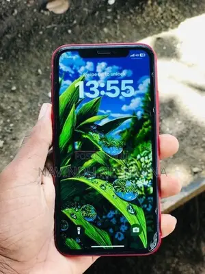 Apple iPhone XR (Used)