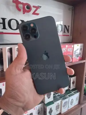 Apple iPhone 12 Pro Max (Used)