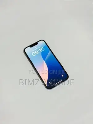 Apple iPhone 13 Pro 128GB (Used)