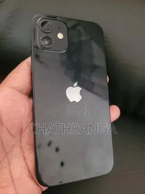 Apple iPhone 12 (Used)