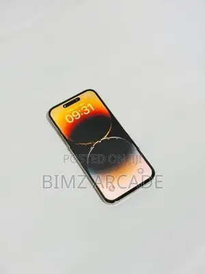 Apple iPhone 14 Pro Max 256GB (Used)