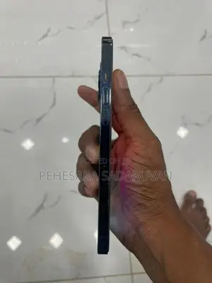 Apple iPhone 12 Pro Max (Used)