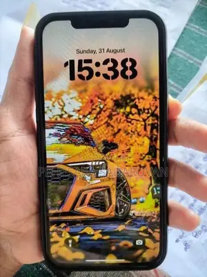 Apple iPhone 12 Pro Max (Used)