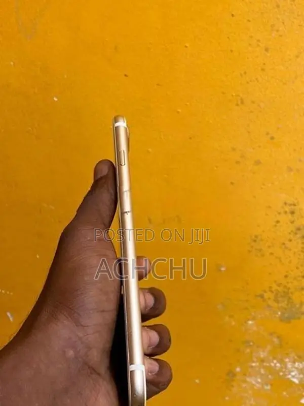 Apple iPhone 7 Plus (Used)