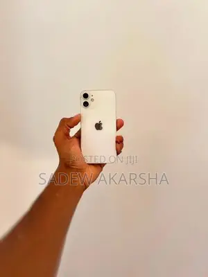 Apple iPhone 12 mini (Used)