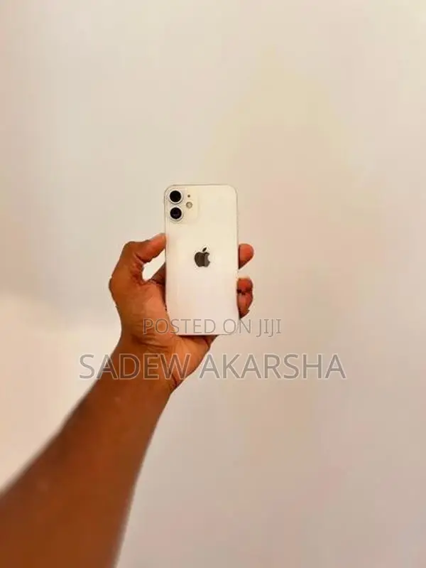 Apple iPhone 12 mini (Used)