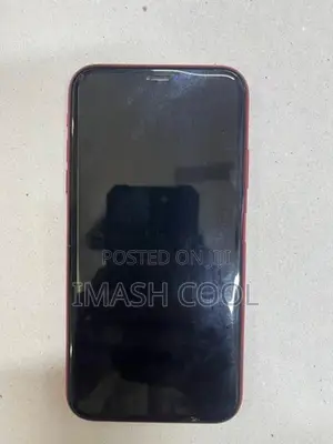 Apple iPhone 11 (Used)