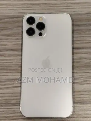 Apple iPhone 12 Pro Max 256GB (Used)