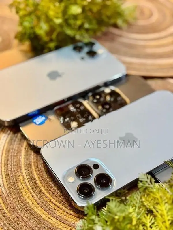 Apple iPhone 13 Pro Max 256GB (Used)