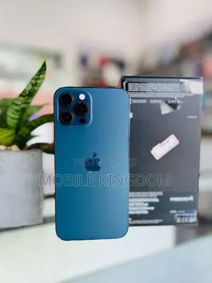 Apple iPhone 12 Pro 256GB (Used)