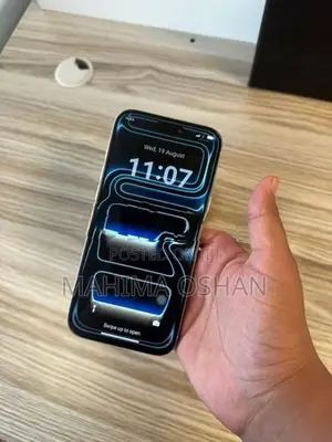 Apple iPhone 17 Pro Max (Used)