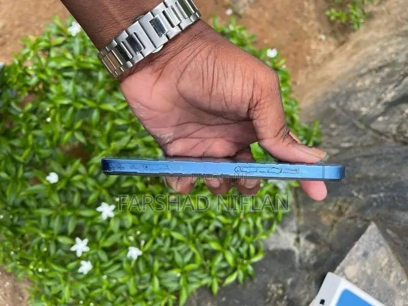 Apple iPhone 13 (Used)