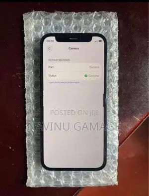 Apple iPhone 12 mini (Used)