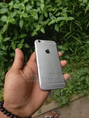 Apple iPhone 6S 64 Gb (Used)