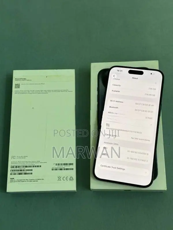 Apple iPhone 15 Pro Max 256GB (Used)