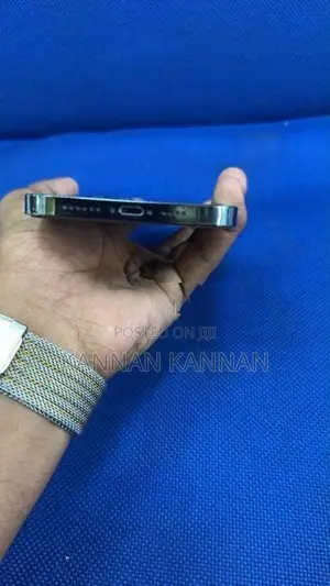 Apple iPhone 12 Pro Max (Used)