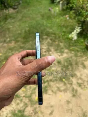 Apple iPhone 12 Pro (Used)