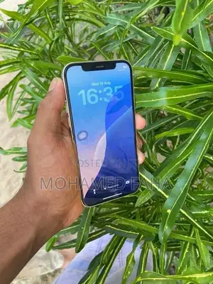 Apple iPhone 12 Pro (Used)
