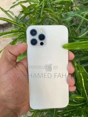 Apple iPhone 12 Pro (Used)