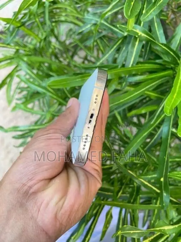 Apple iPhone 12 Pro (Used)