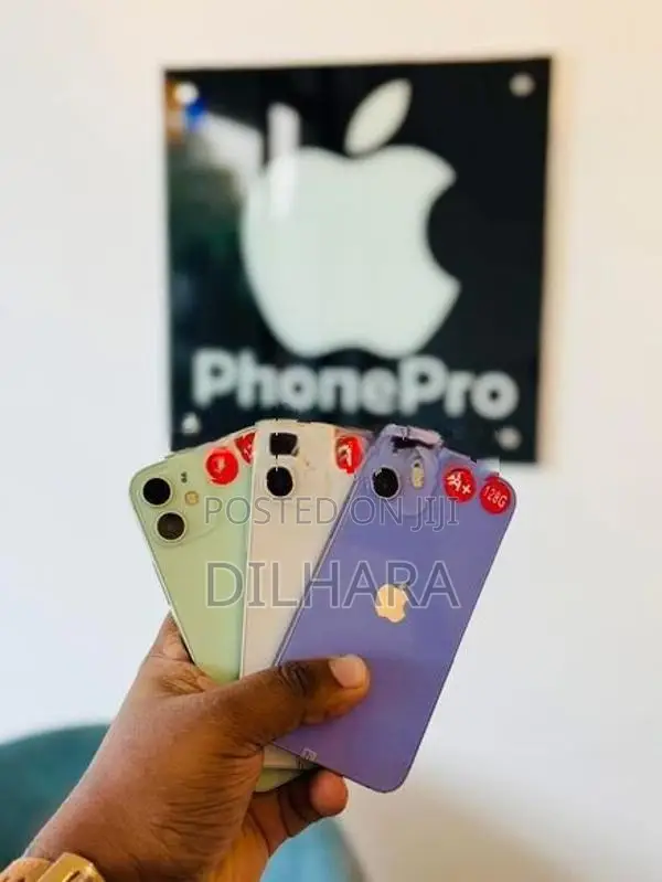 Apple iPhone 12 mini 128GB (Used)