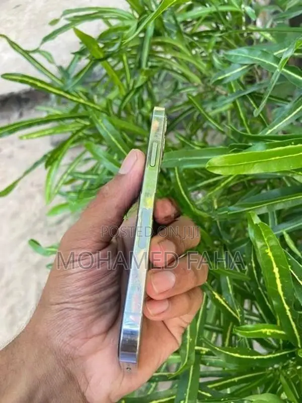 Apple iPhone 12 Pro (Used)