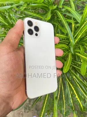 Apple iPhone 12 Pro (Used)
