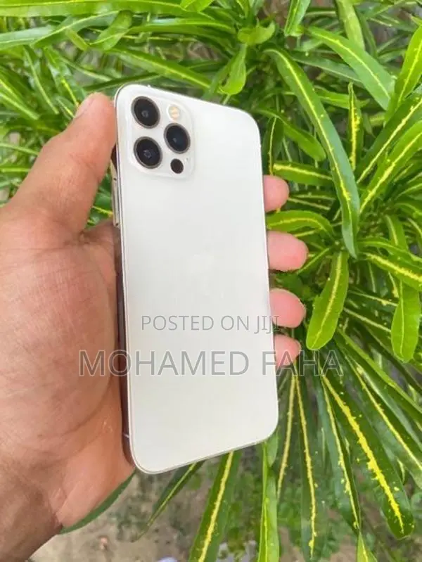 Apple iPhone 12 Pro (Used)