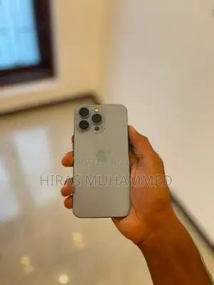 Apple iPhone 13 Pro (Used)