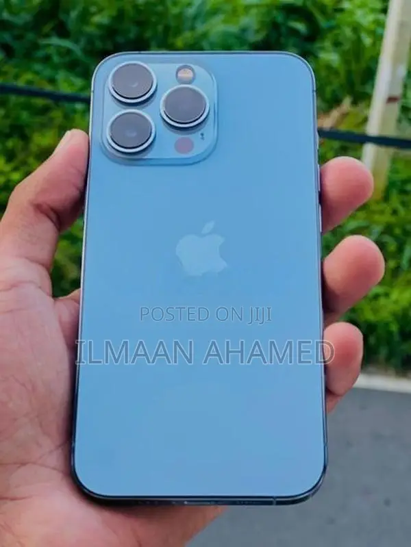 Apple iPhone 13 Pro 256GB (Used)