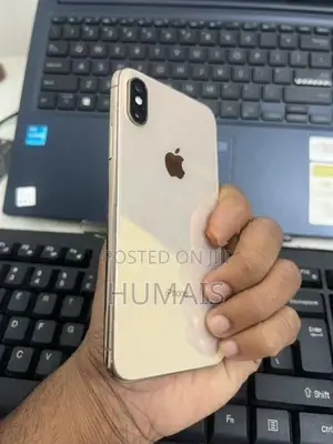Apple iPhone XS 256 GB (Used)