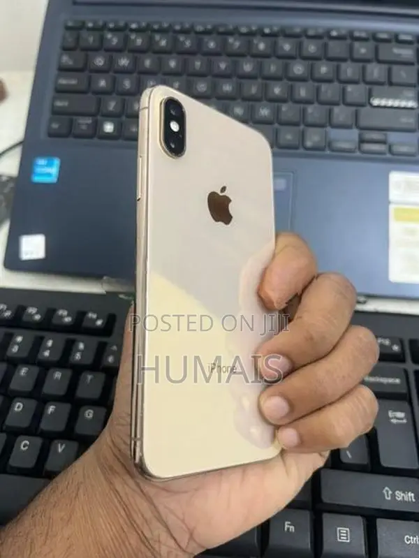 Apple iPhone XS 256 GB (Used)