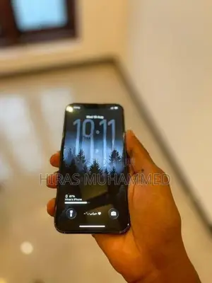Apple iPhone 13 Pro (Used)