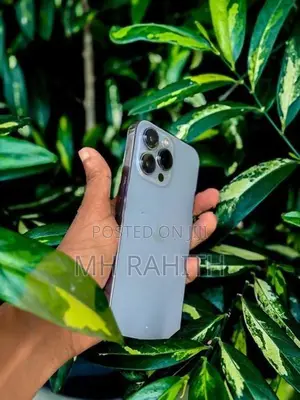 Apple iPhone 13 Pro (Used)