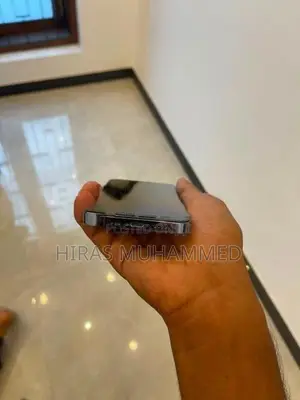 Apple iPhone 13 Pro (Used)